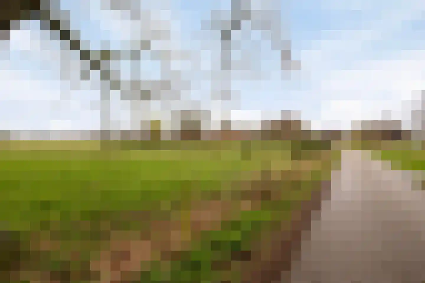 Het Landeweerd 85 Holten thumbnail 37