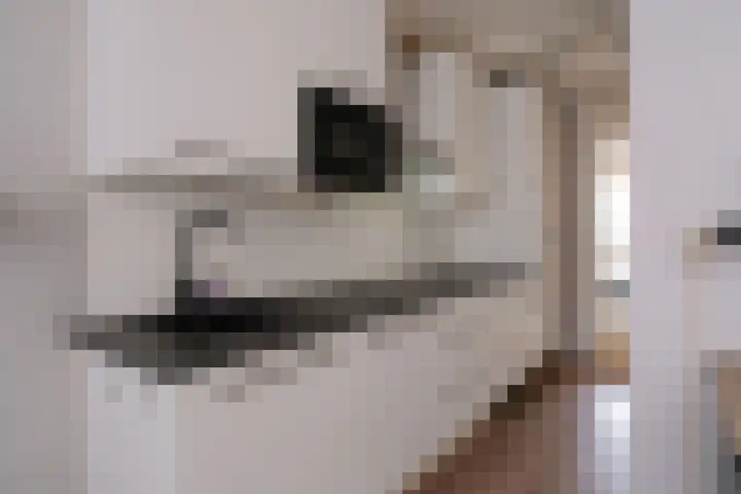 Het Lang 88 0 Enschede thumbnail 8