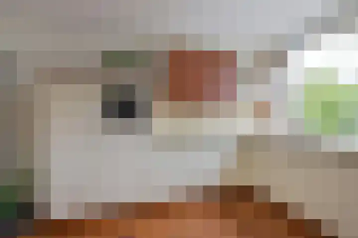 Het Lange Stuk 23 Nieuwkoop thumbnail 13