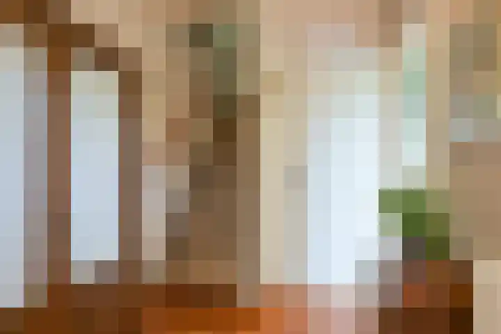 Het Lange Stuk 23 Nieuwkoop thumbnail 17