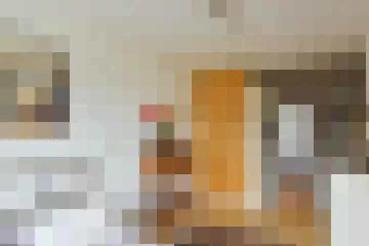 Het Lange Stuk 23 Nieuwkoop thumbnail 19