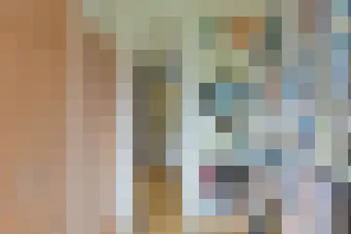 Het Lange Stuk 23 Nieuwkoop thumbnail 21