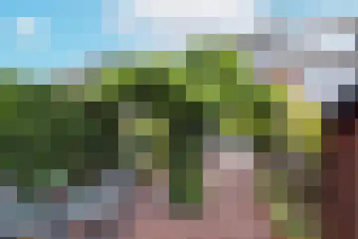 Het Lange Stuk 23 Nieuwkoop thumbnail 33