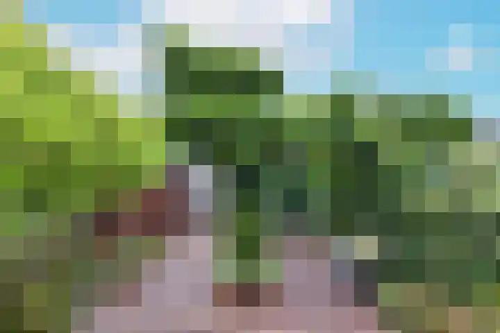 Het Lange Stuk 23 Nieuwkoop thumbnail 34