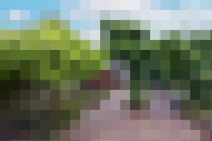Het Lange Stuk 23 Nieuwkoop thumbnail 35