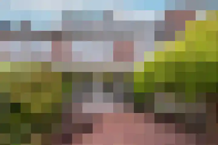 Het Lange Stuk 23 Nieuwkoop thumbnail 4