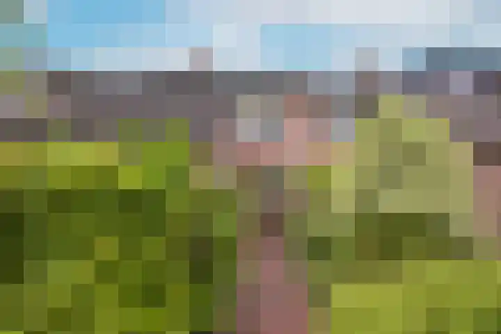 Het Lange Stuk 23 Nieuwkoop thumbnail 5