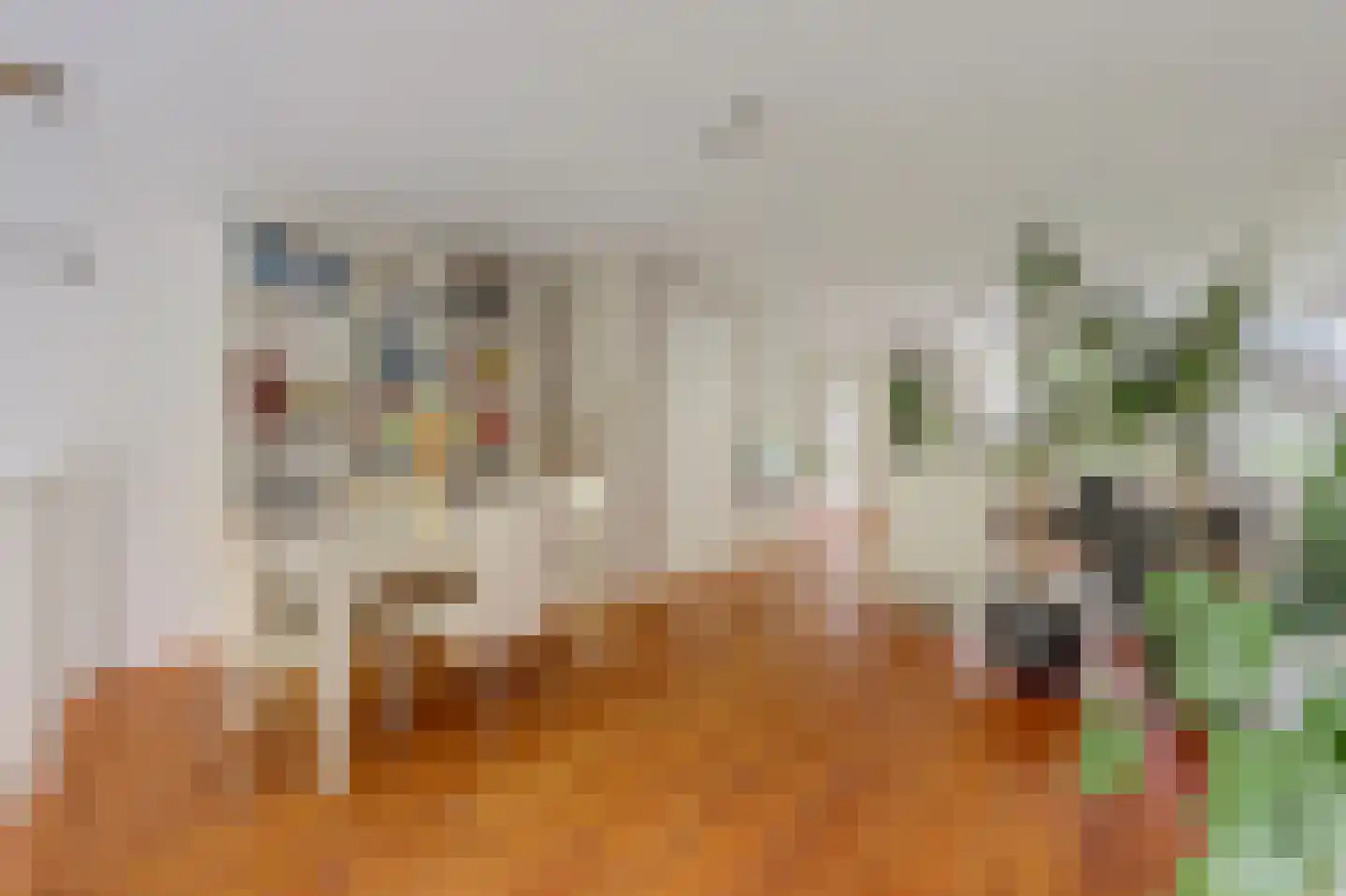 Het Langhuis 10 Amersfoort thumbnail 18
