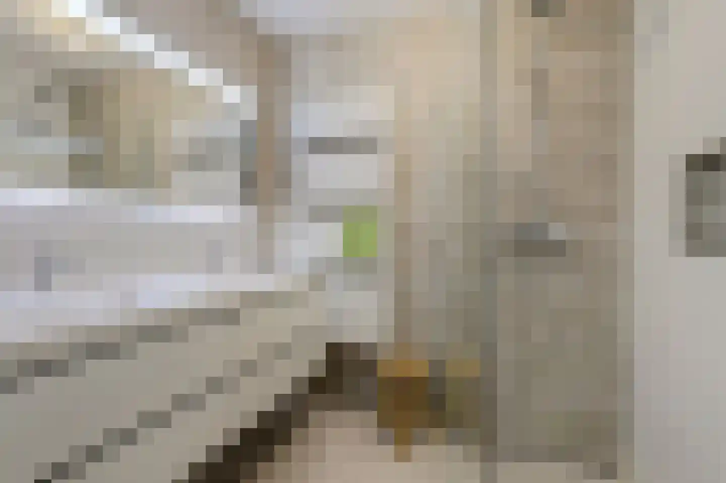 Het Langhuis 10 Amersfoort thumbnail 27
