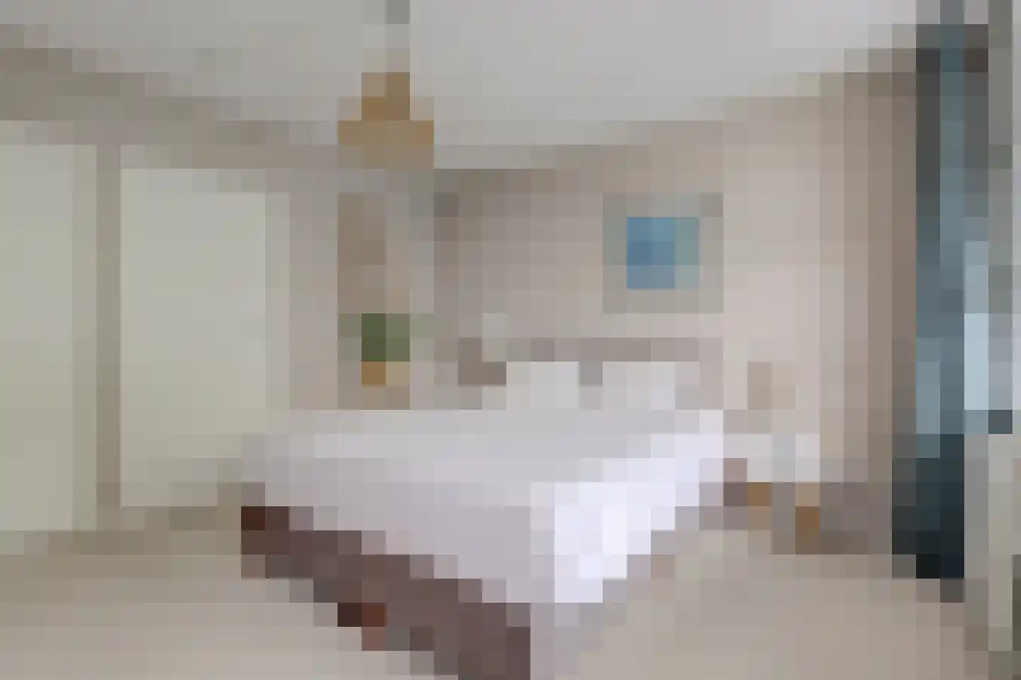 Het Langhuis 10 Amersfoort thumbnail 31