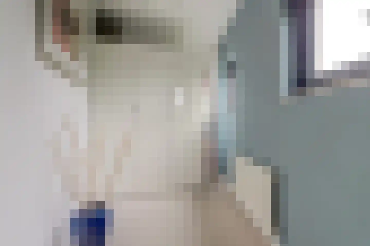 Het Langhuis 10 Amersfoort thumbnail 35
