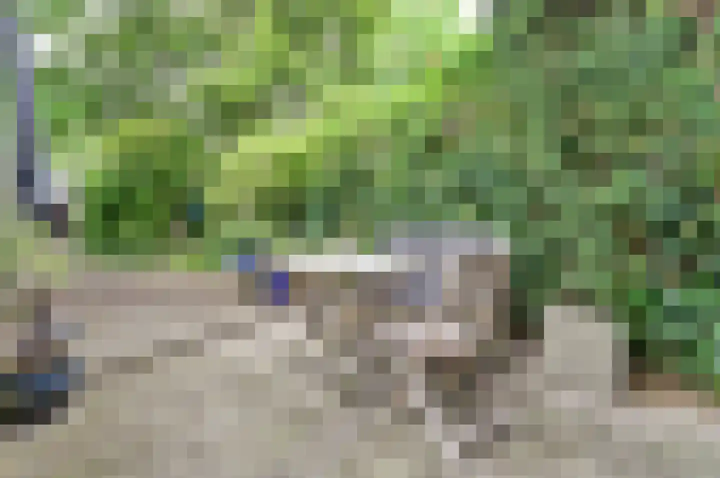 Het Langhuis 10 Amersfoort thumbnail 4