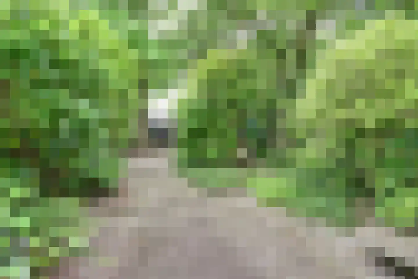 Het Langhuis 10 Amersfoort thumbnail 42