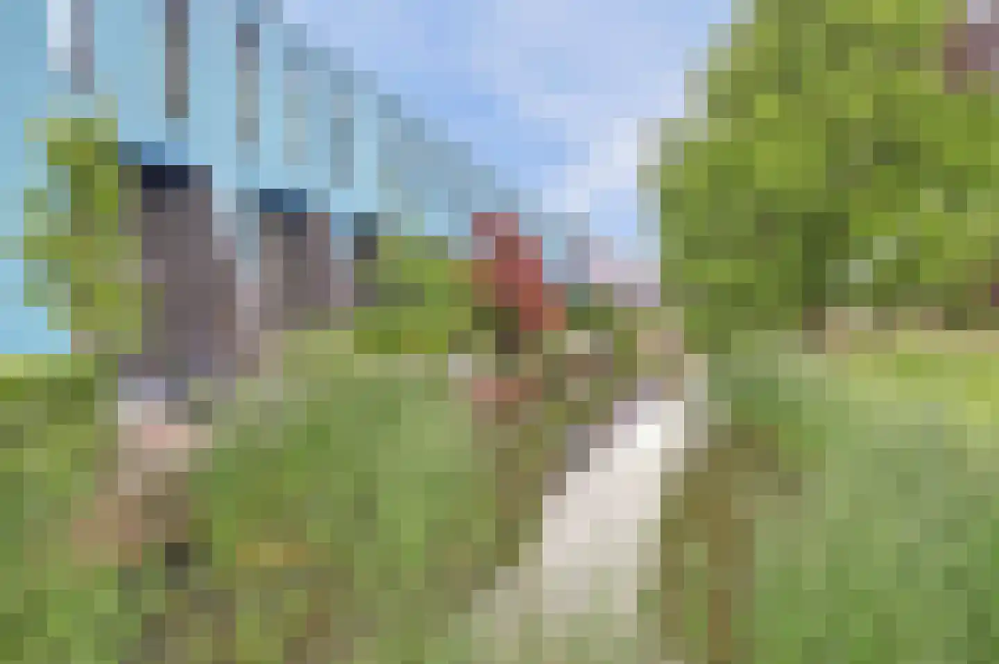 Het Langhuis 10 Amersfoort thumbnail 44