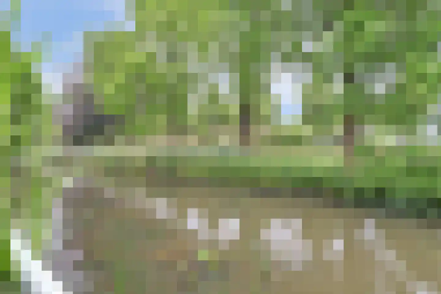 Het Langhuis 10 Amersfoort thumbnail 46