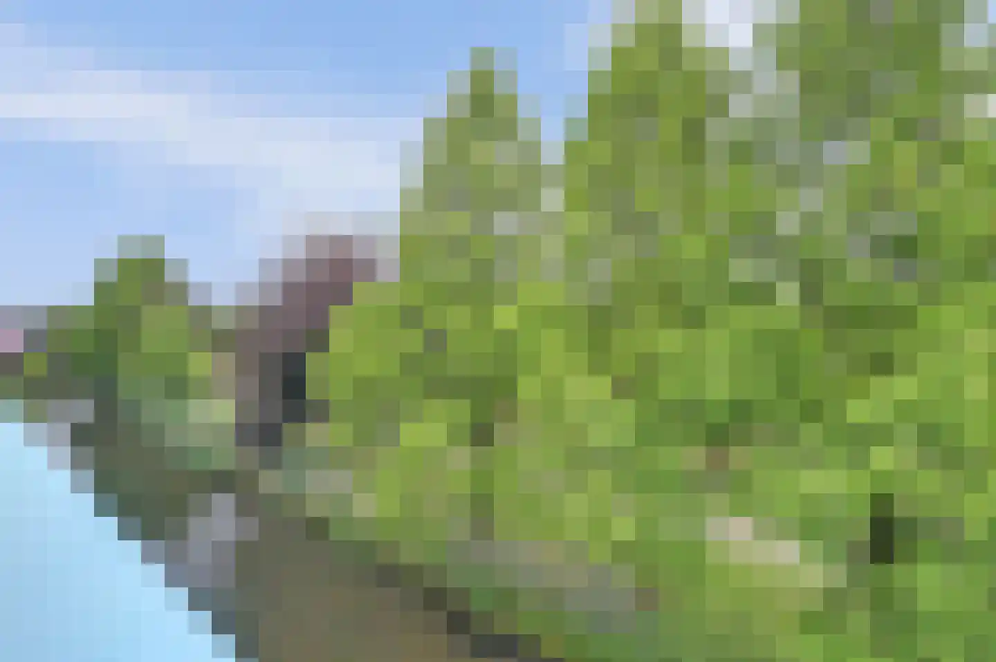 Het Langhuis 10 Amersfoort thumbnail 47