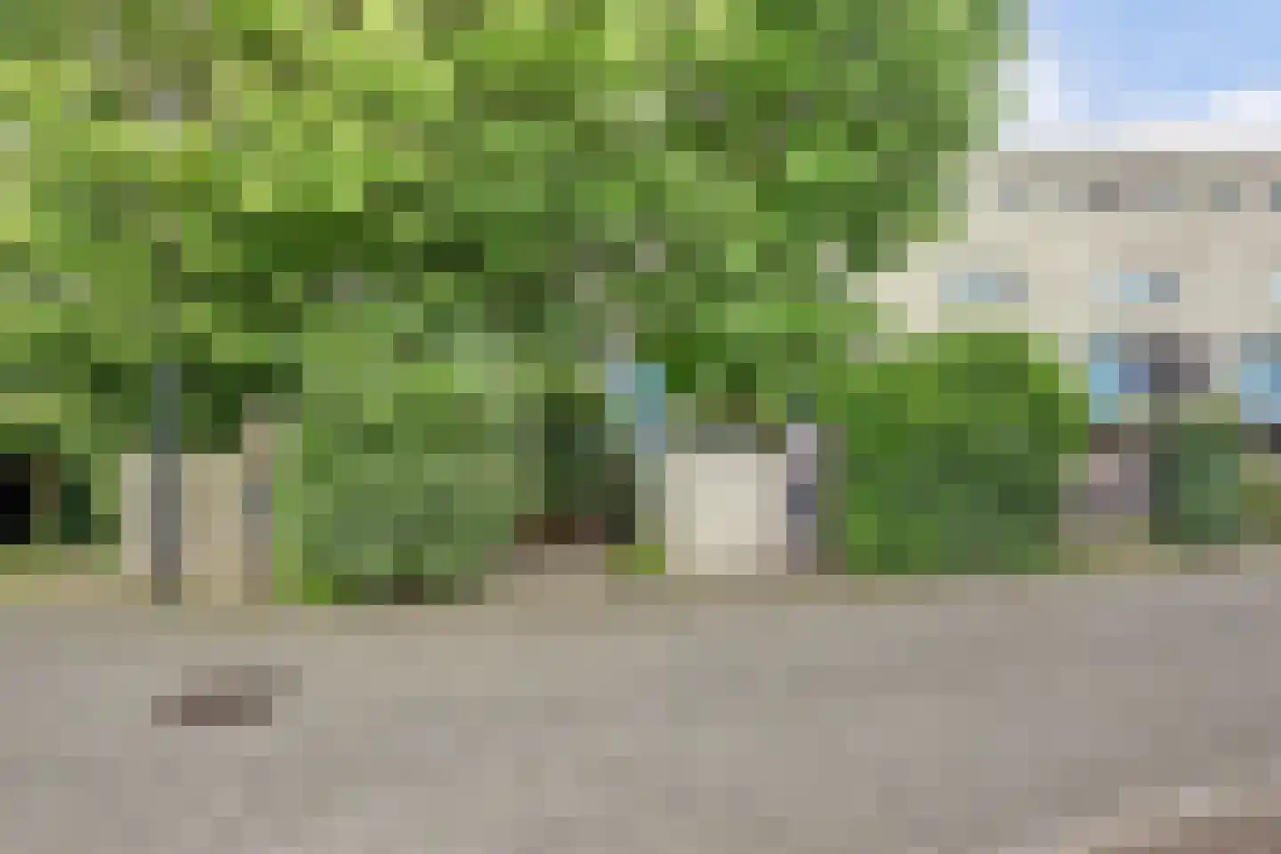 Het Langhuis 10 Amersfoort thumbnail 55