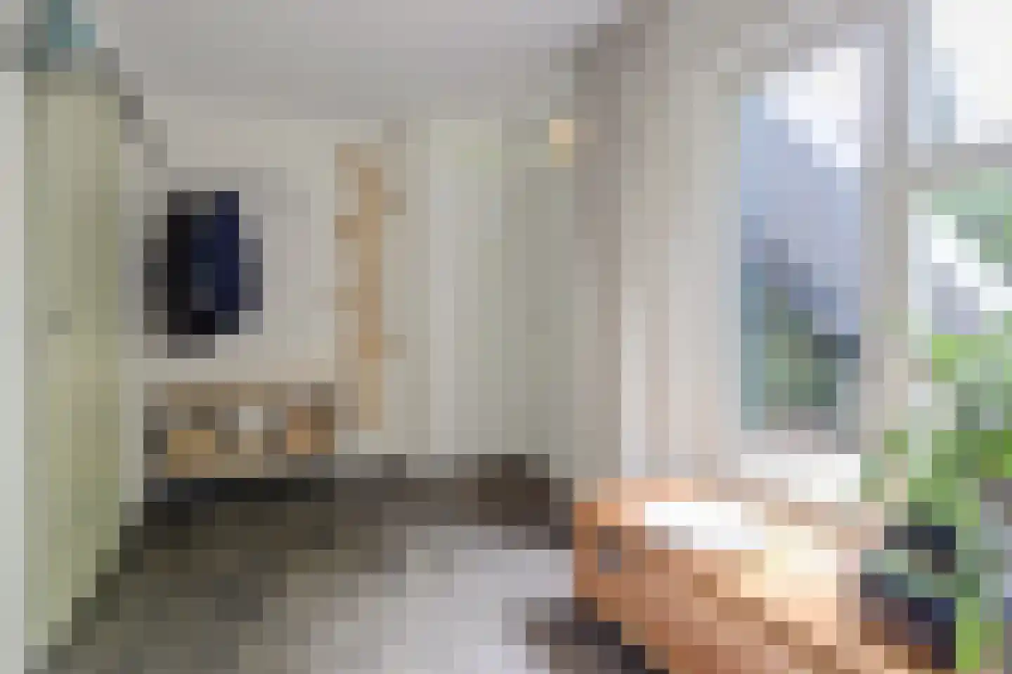 Het Langhuis 10 Amersfoort thumbnail 6
