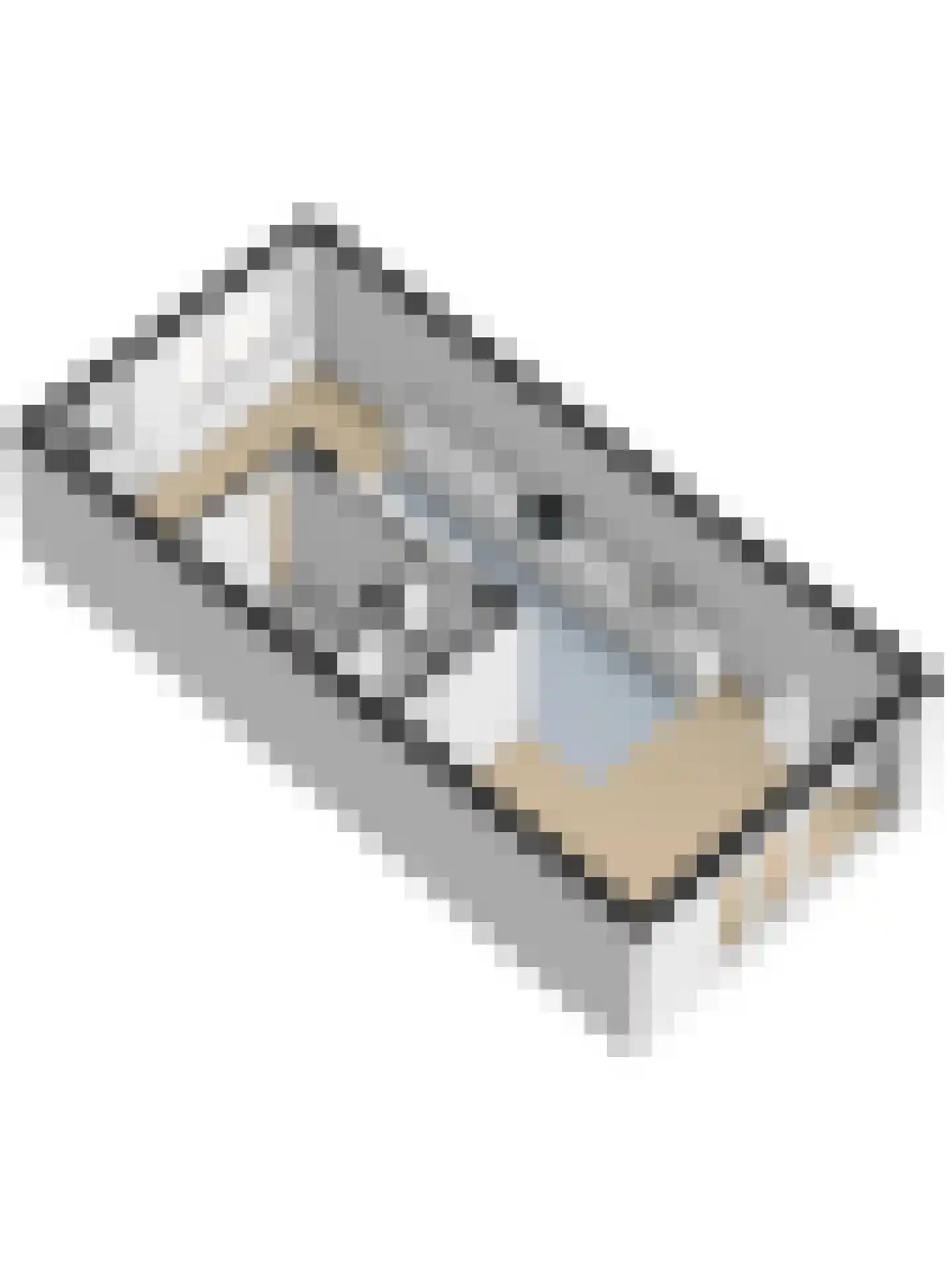 Het Langhuis 10 Amersfoort thumbnail 68