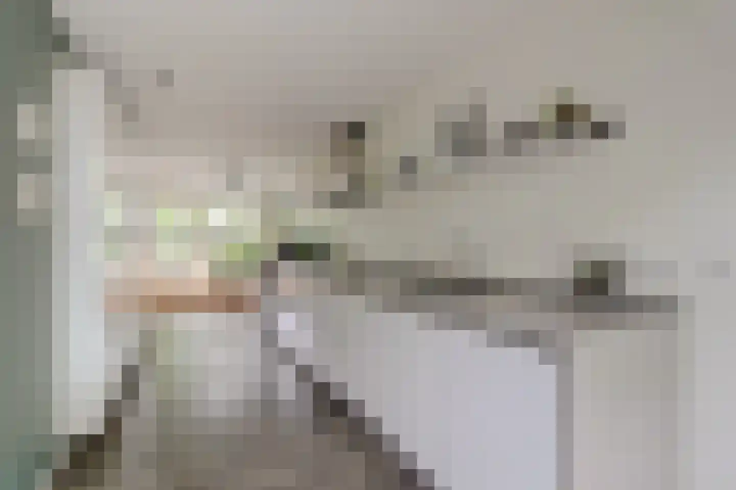 Het Langhuis 10 Amersfoort thumbnail 8