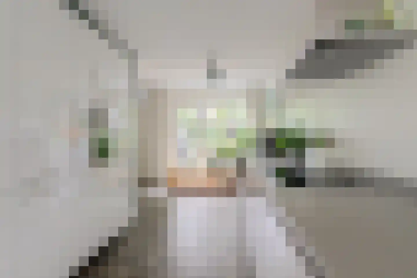 Het Langhuis 10 Amersfoort thumbnail 9