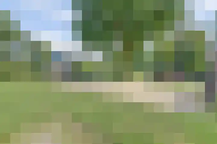 Het Langhuis 63 Amersfoort thumbnail 29