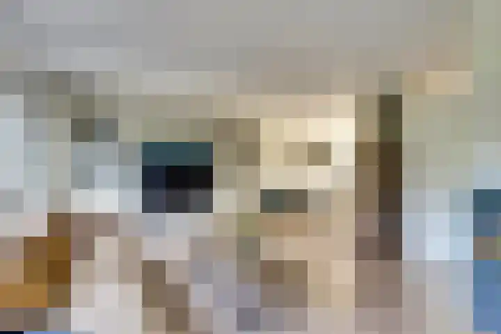 Het Langhuis 63 Amersfoort thumbnail 6
