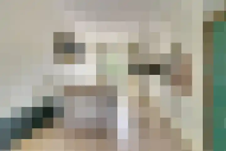 Het Langhuis 63 Amersfoort thumbnail 8