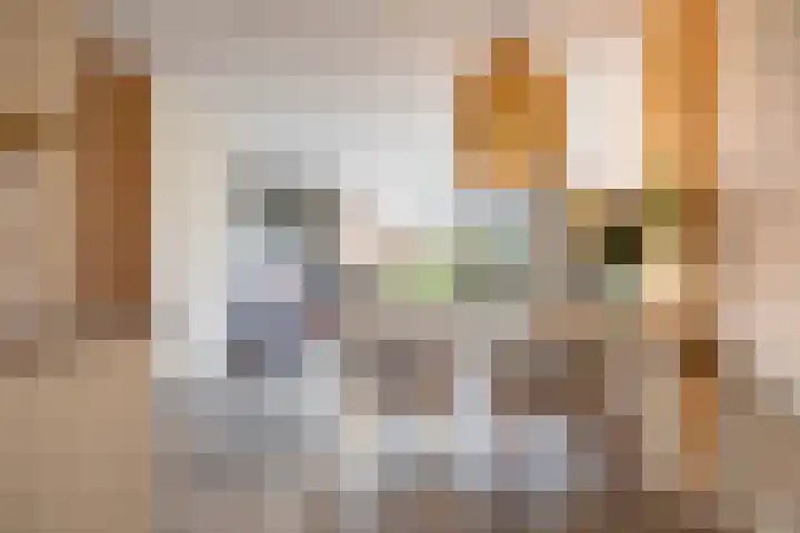 Het Lansink 15 Groningen thumbnail 11