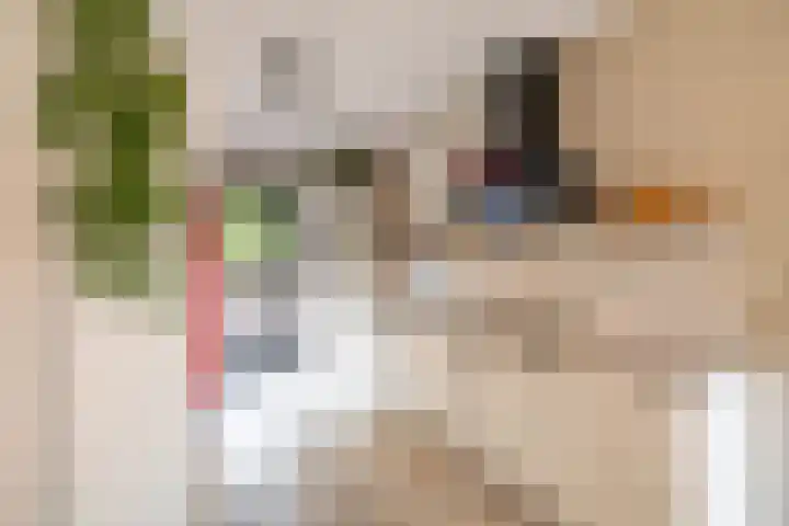 Het Lansink 15 Groningen thumbnail 21
