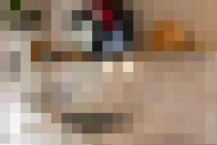 Het Lansink 15 Groningen thumbnail 22