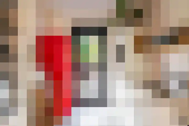Het Lansink 15 Groningen thumbnail 23