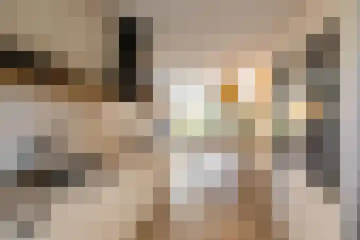 Het Lansink 15 Groningen thumbnail 24