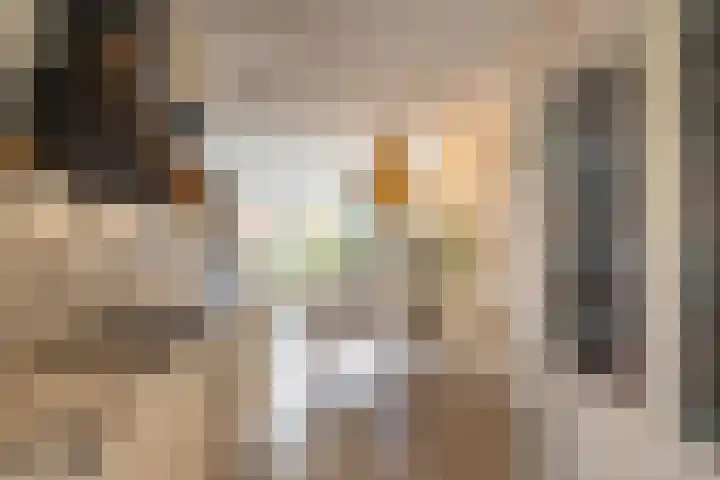 Het Lansink 15 Groningen thumbnail 25