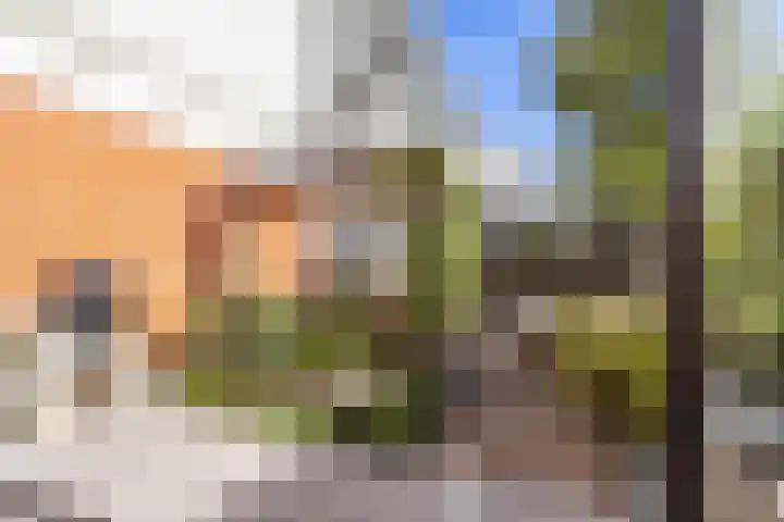 Het Lansink 15 Groningen thumbnail 27