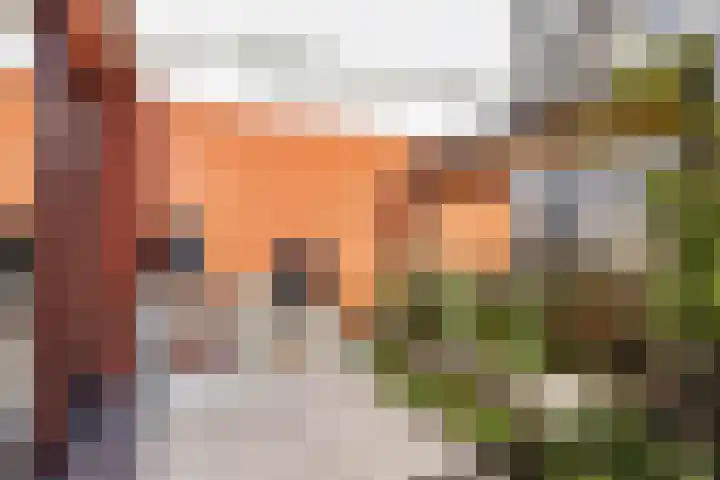 Het Lansink 15 Groningen thumbnail 28