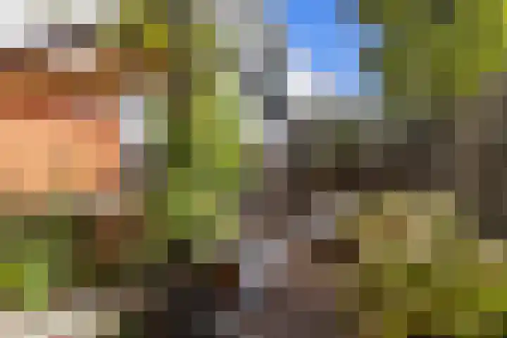 Het Lansink 15 Groningen thumbnail 29