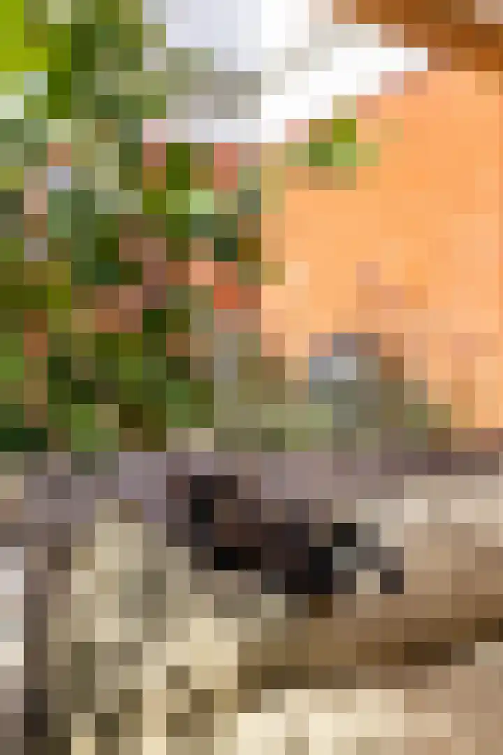 Het Lansink 15 Groningen thumbnail 31