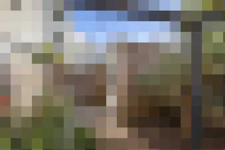 Het Lansink 15 Groningen thumbnail 32