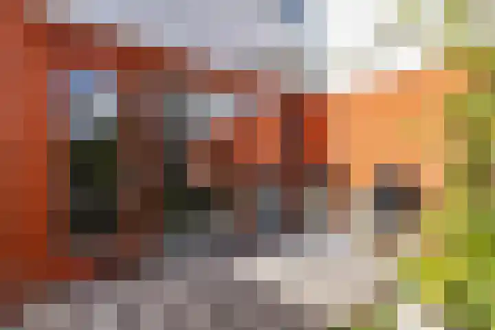 Het Lansink 15 Groningen thumbnail 38