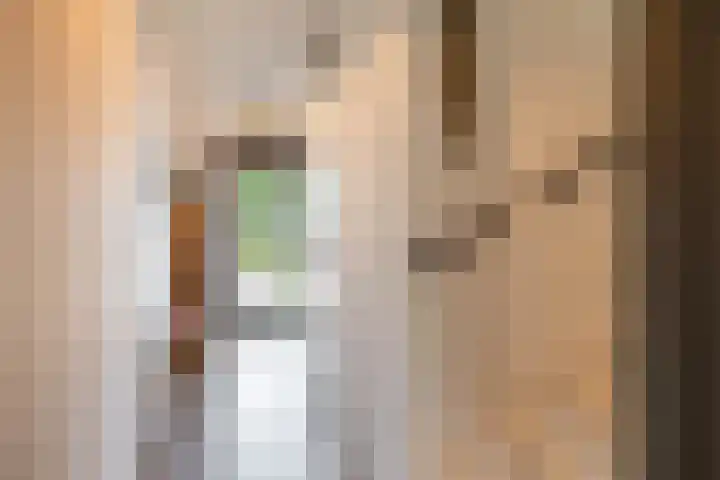 Het Lansink 15 Groningen thumbnail 39