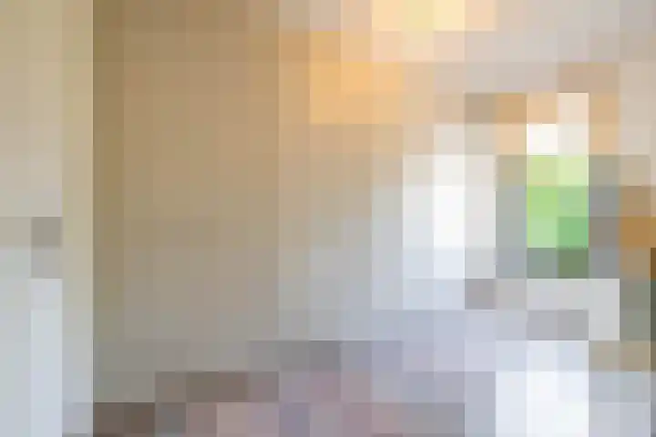 Het Lansink 15 Groningen thumbnail 43