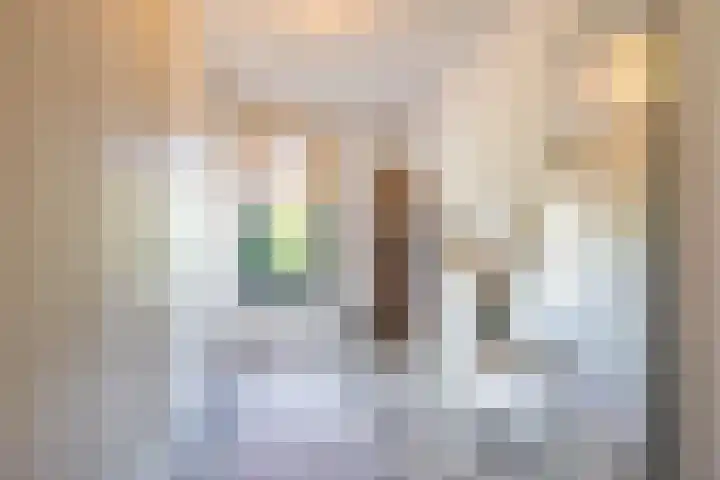 Het Lansink 15 Groningen thumbnail 44