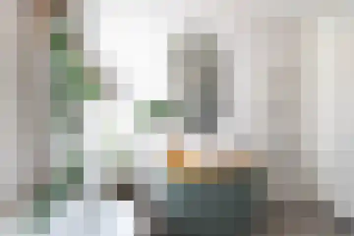 Het Lansink 15 Groningen thumbnail 51