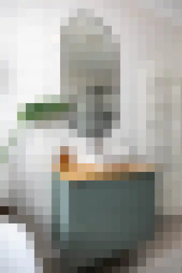 Het Lansink 15 Groningen thumbnail 52
