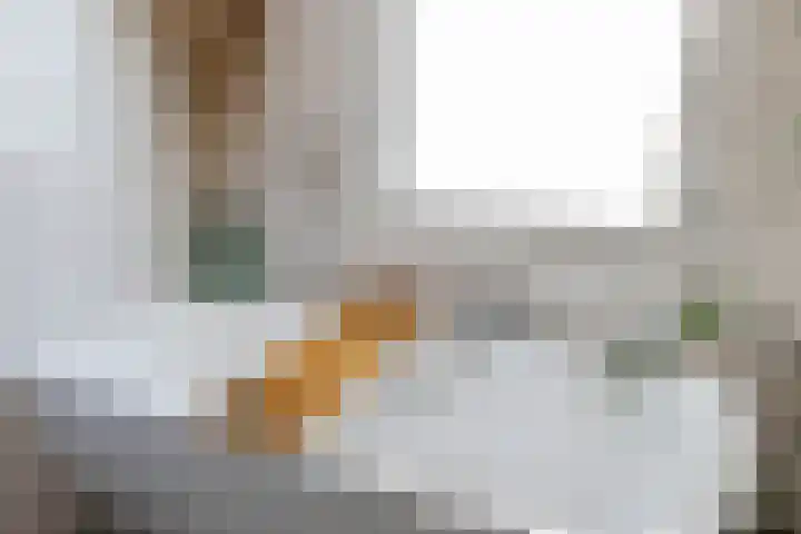 Het Lansink 15 Groningen thumbnail 54