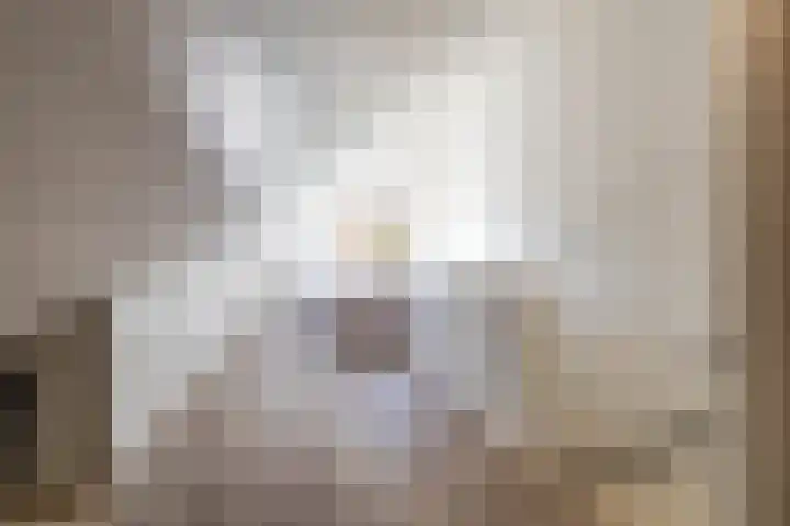 Het Lansink 15 Groningen thumbnail 55