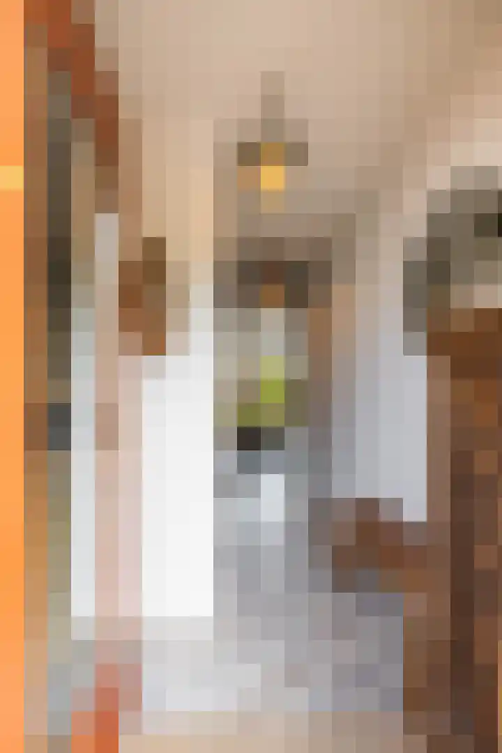 Het Lansink 15 Groningen thumbnail 8