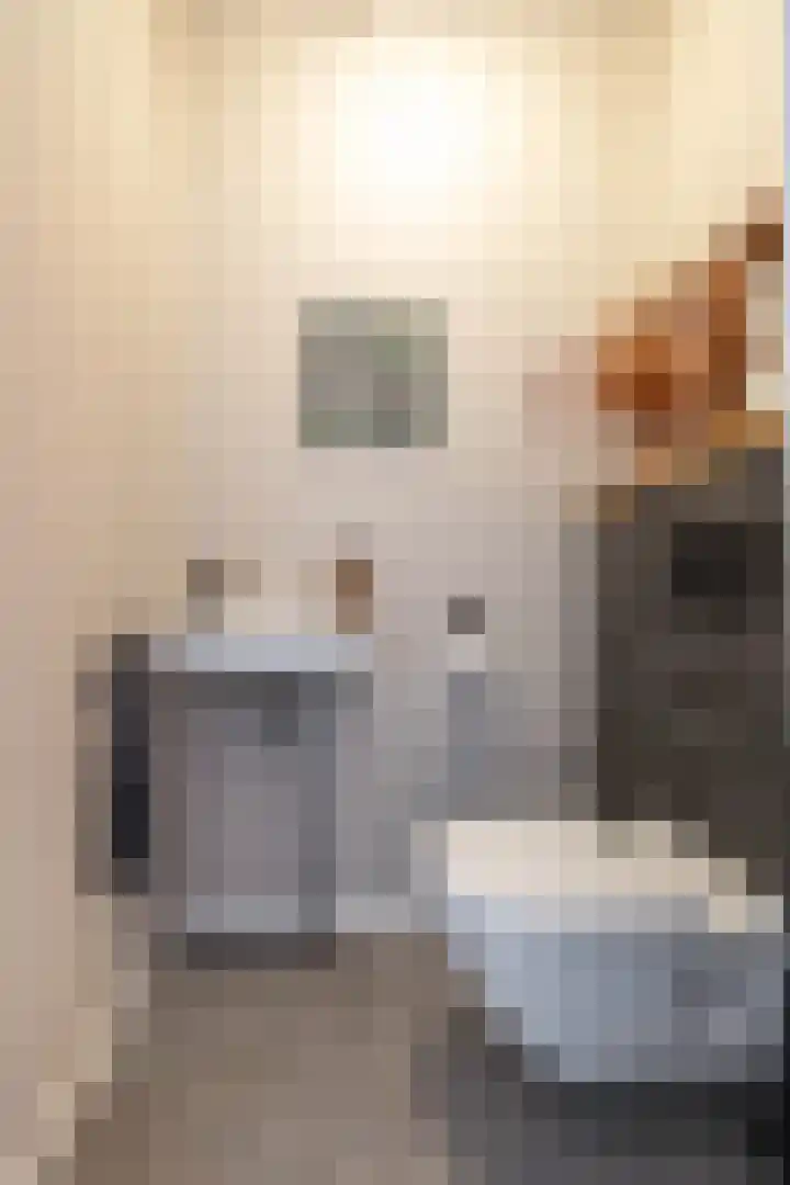 Het Lansink 15 Groningen thumbnail 9