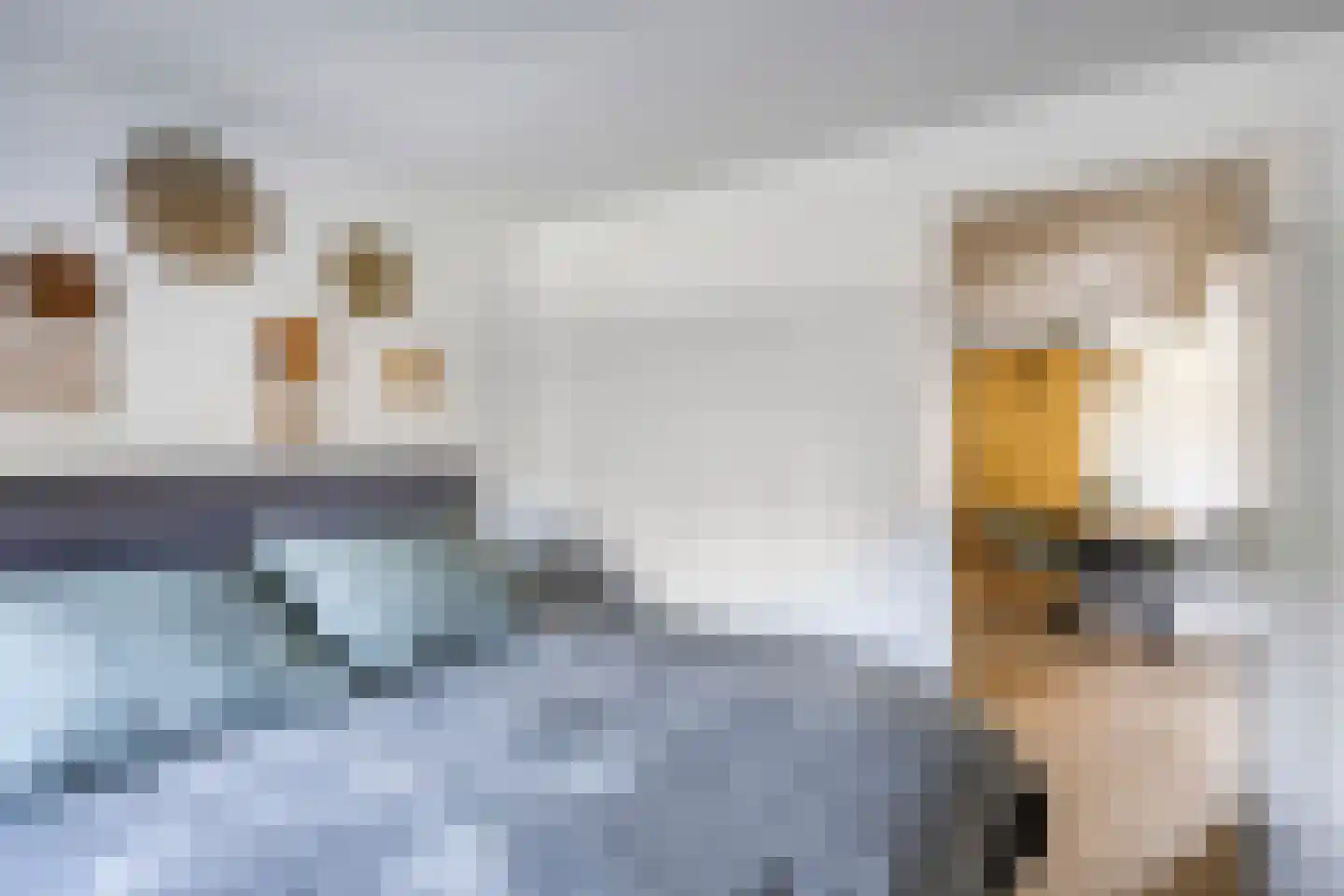 Het Lappennest 14 Noordwijk thumbnail 12
